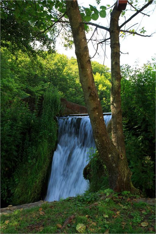 Fruktarium Vendeghaz Ξενοδοχείο Trizs Εξωτερικό φωτογραφία