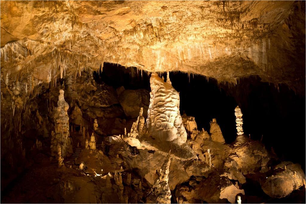 Fruktarium Vendeghaz Ξενοδοχείο Trizs Εξωτερικό φωτογραφία